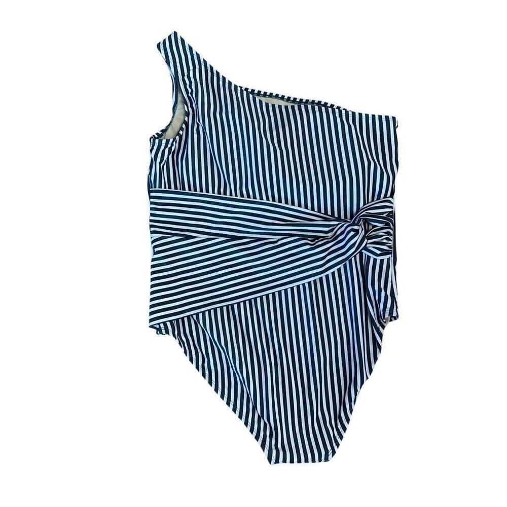 Coastal Blue 1X Stripe One Shoulder One-Piece Swimsuit